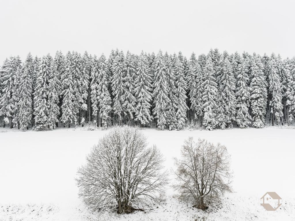Apartmán Kuckucksnest Unterkirnach Pokoj fotografie